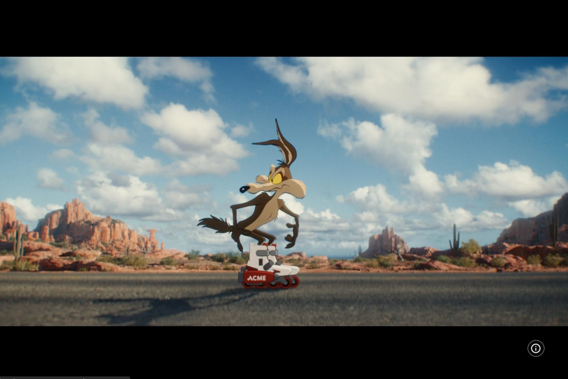 COYOTE VS ACME